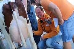180926-lr-kuh-melken-img_0814