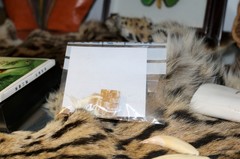 img_9425-2000