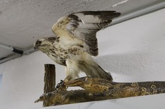 img_9427-2000