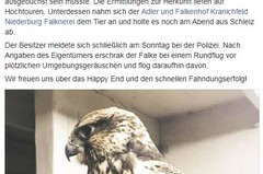 polizei7