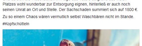 polizei15
