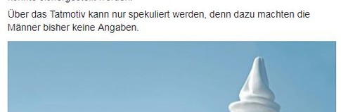 polizei8