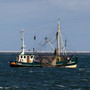 Ueberfischung--am-freitag-ist-fish-dependence-day-sea-3049864_1280-855_c_01